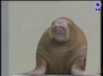 889
