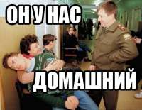400x311