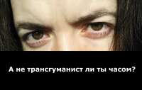 1280x815