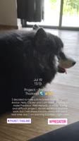 720x1280