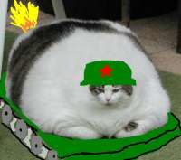 500x443