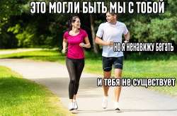 732x482