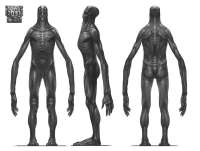600x453