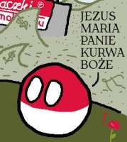284x316