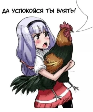 300x361