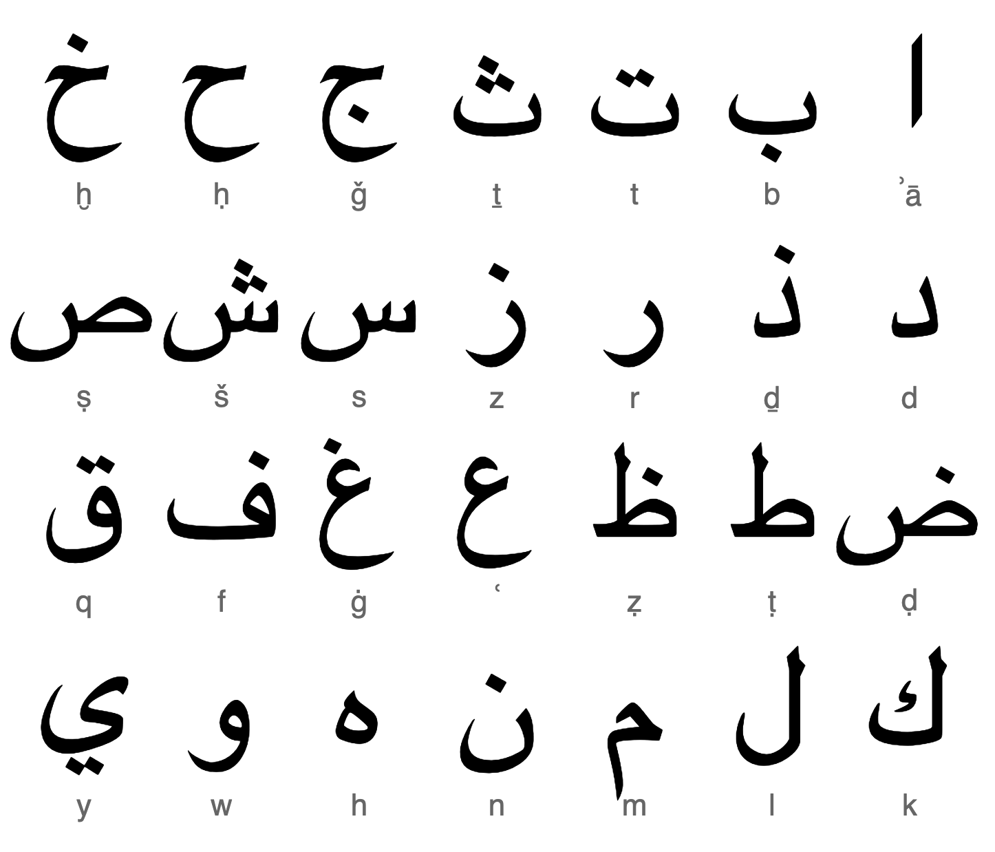 1446x1238