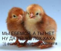 500x424
