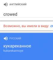 499x561