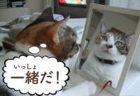 1280x889