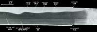 800x269