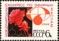 300x211