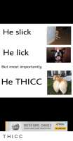 500x955