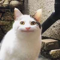 292x291