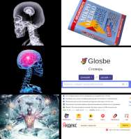 626x665