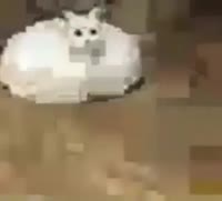 396x360