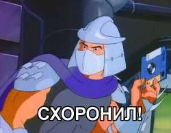 500x388