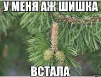 400x304