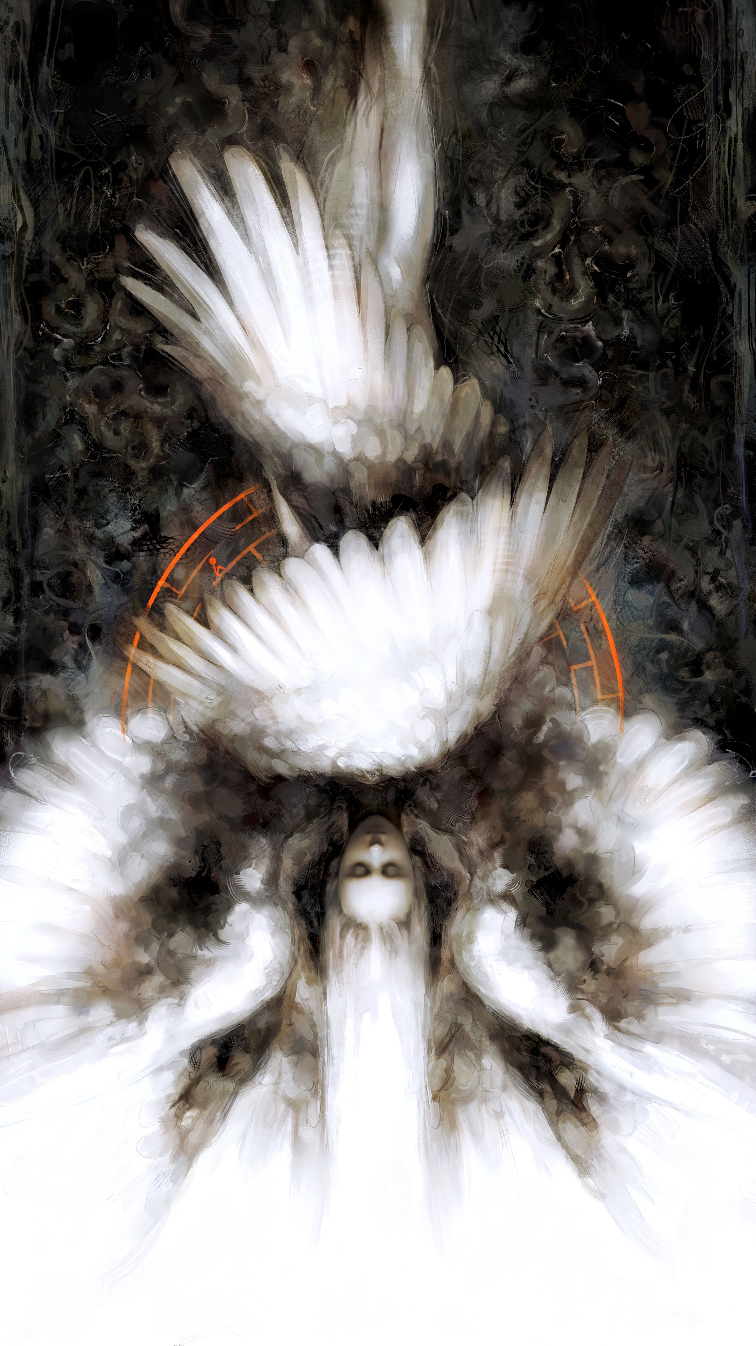 2439x4344