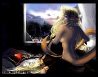 1260x990