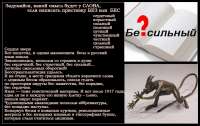 1280x811