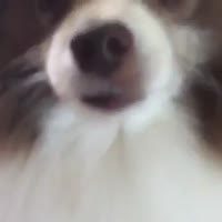 360x360
