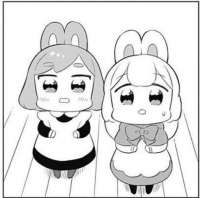 612x607