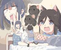 814x677