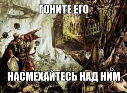 604x446