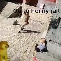 460x458
