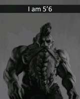 1036x1280