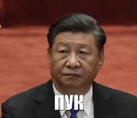 539x465