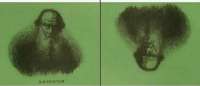 900x387