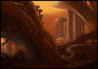 1177x830