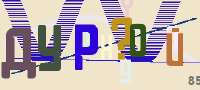 262x118
