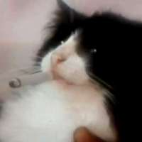 900x900