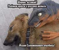 400x339