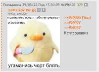 377x276