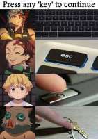 544x767