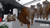 640x360