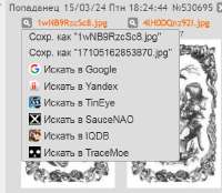 446x389
