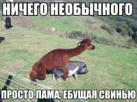 599x448