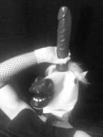 43