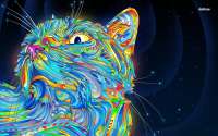 1280x800