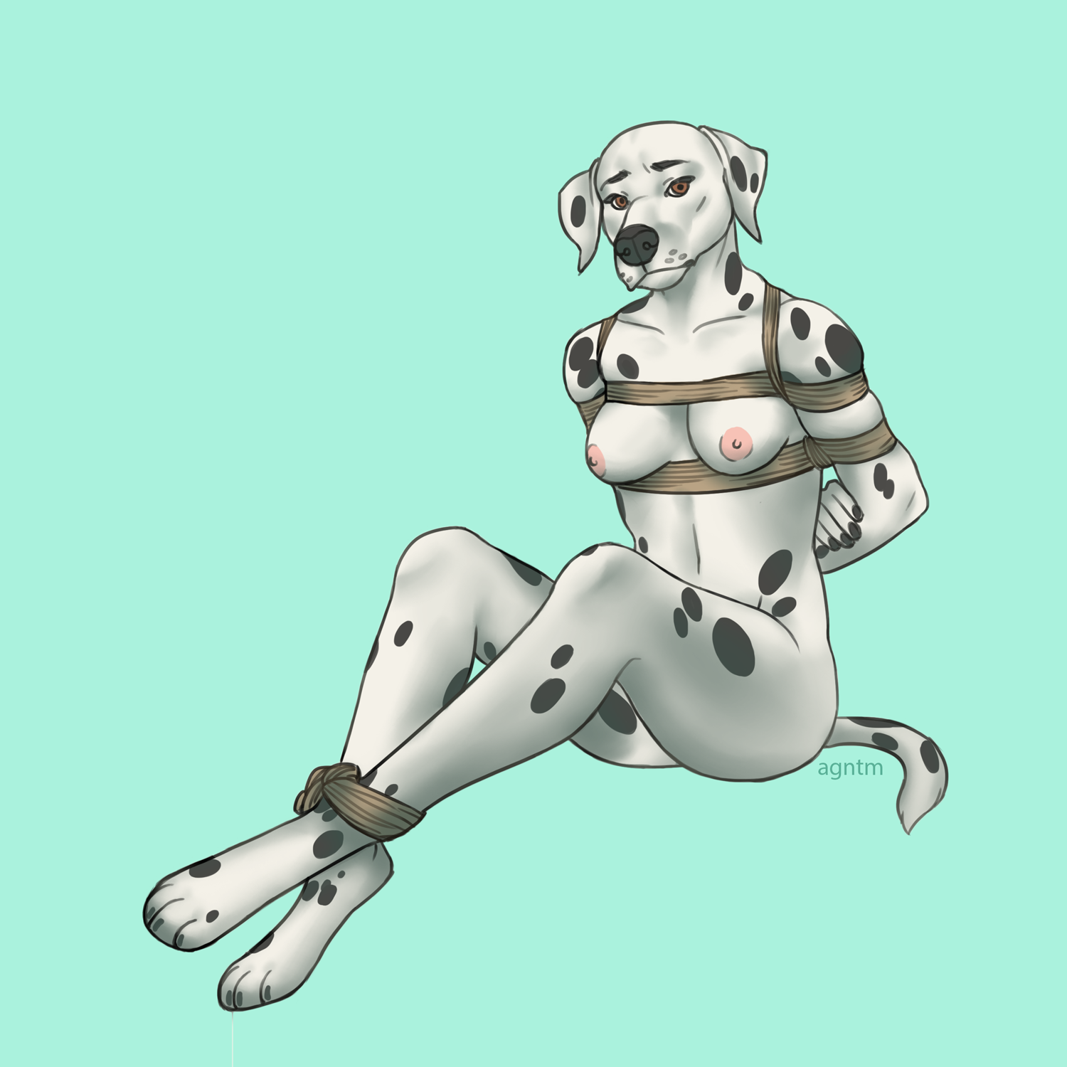 1500x1500