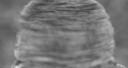 500x269