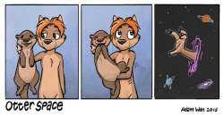600x312
