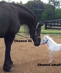 566x676