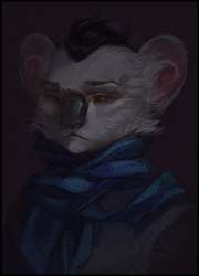 923x1280