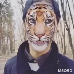 360x360