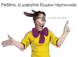 1142x833